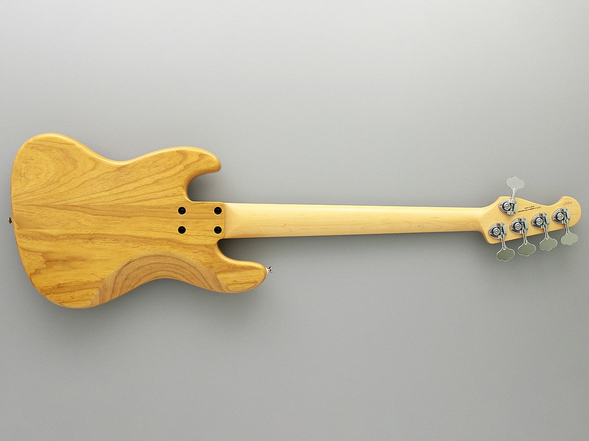 Fujigen NJB100MBAH-VNT