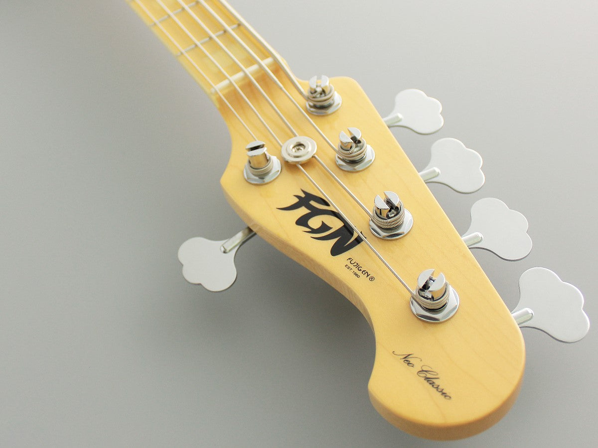 Fujigen NJB100MBAH-VNT