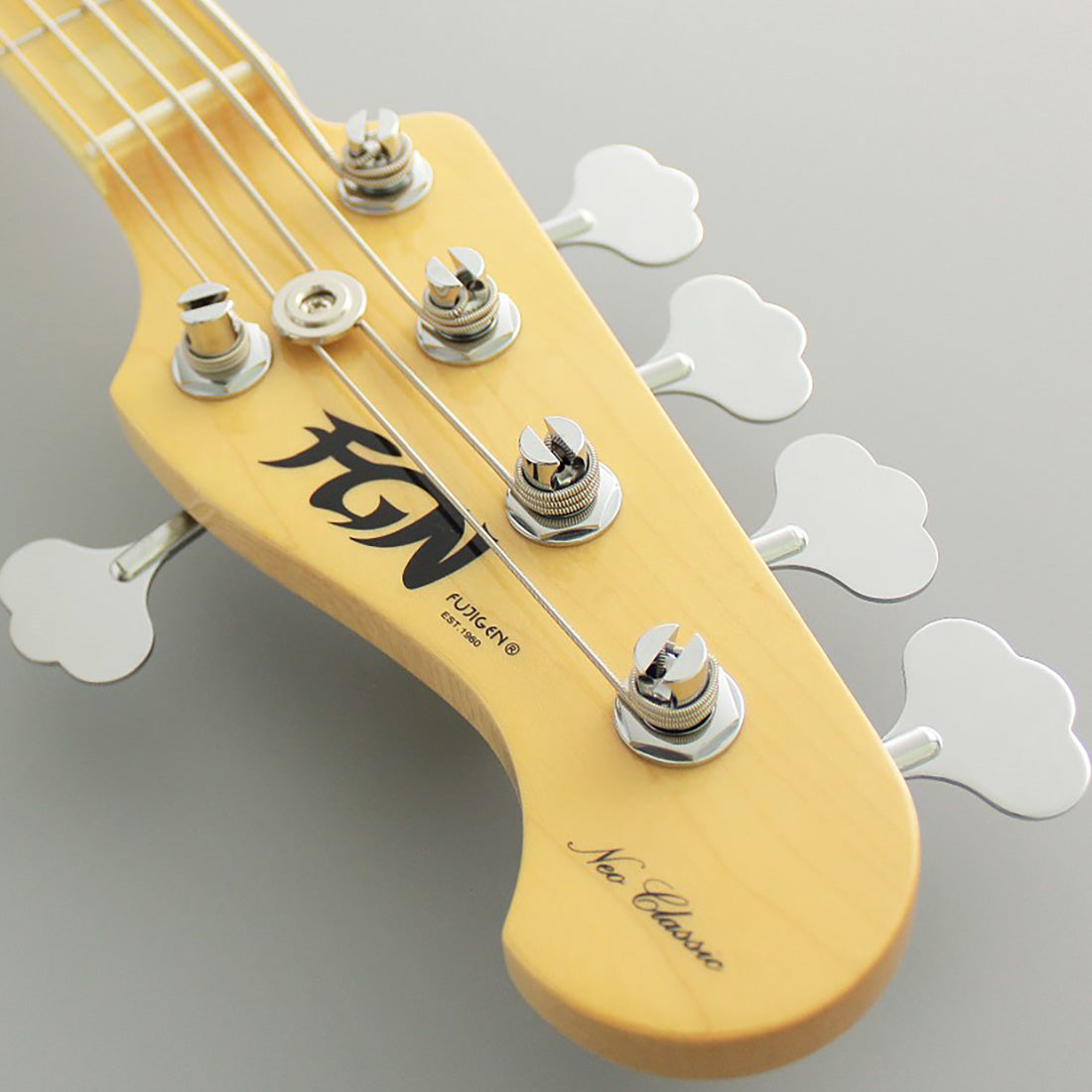 Fuijgen NJB100MBAHV-SBB