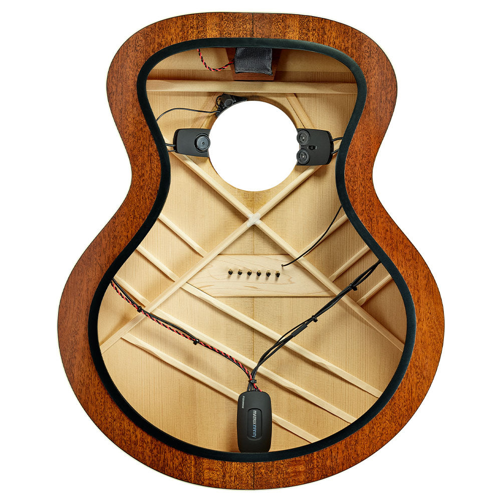 Fishman MATRIX INFINITY MIC BLEND