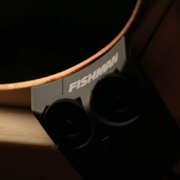 Fishman Matrix Infinity