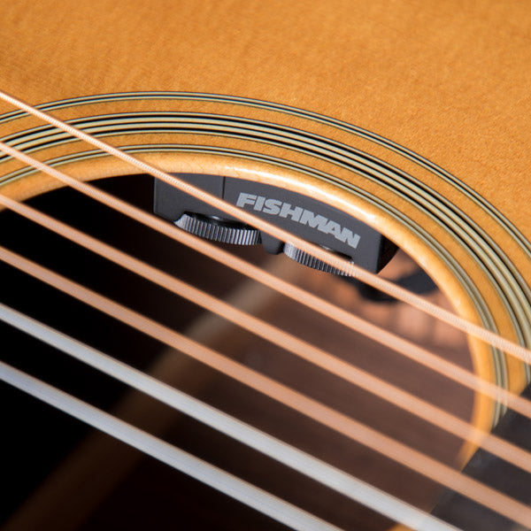 Fishman Matrix Infinity