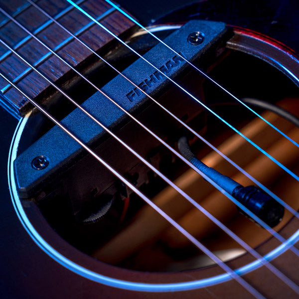 Fishman Rare Earth Mic Blend Pickup