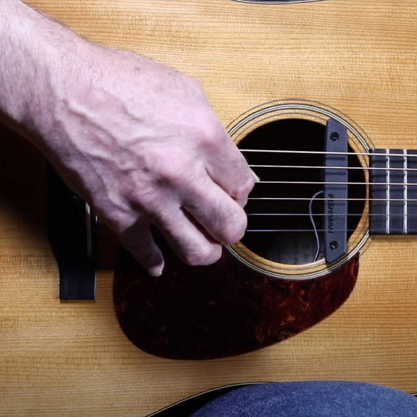 Fishman Rare Earth Mic Blend Pickup