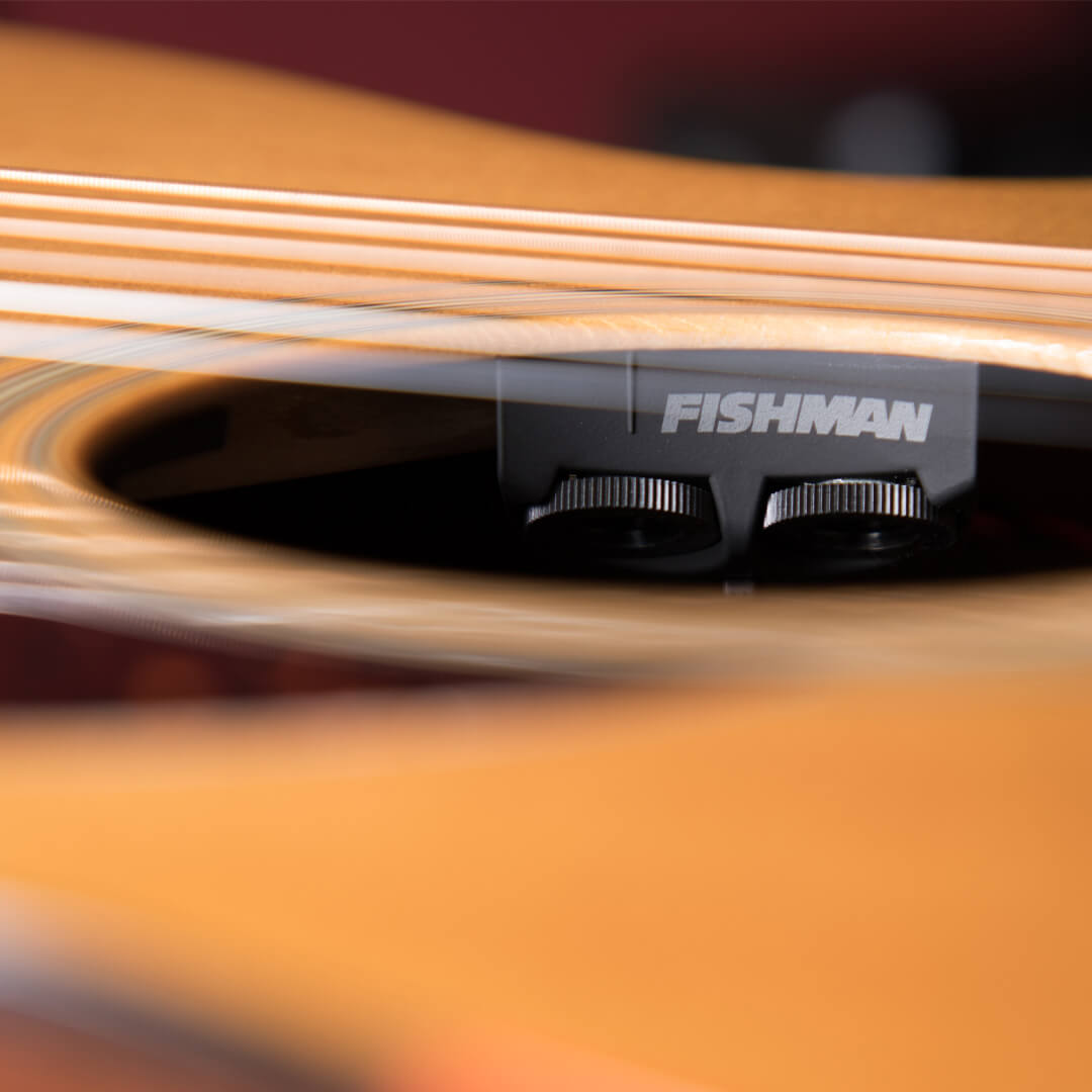 Fishman MATRIX INFINITY MIC BLEND