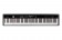 NUX NPK-20 (黑) 88鍵可攜式自動伴奏電鋼琴